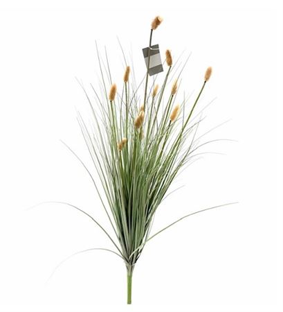 Art. Mazzo V Caterpillar/grass X12 100cm - Natura