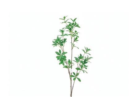 Art. Ramo Foglie 110cm - Green