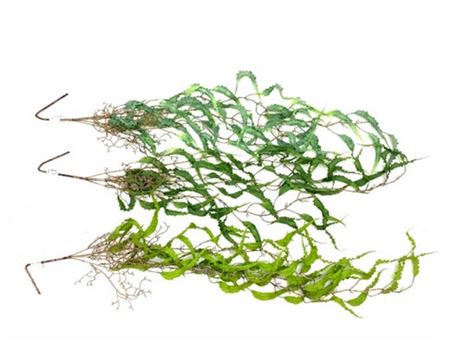 Art. Cadente Ramo Sword Leaves Hanging 136cm - Mix