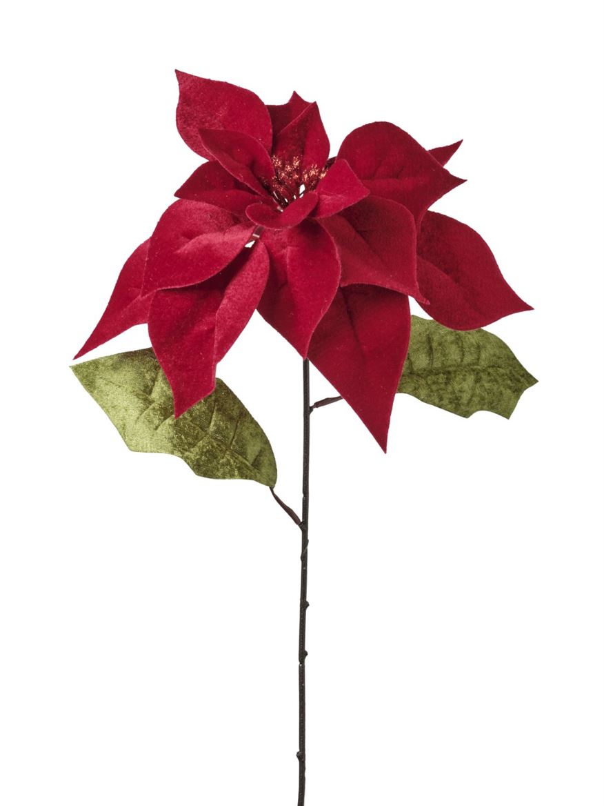 .xmas. Ramo Stella Cm 65 - Red