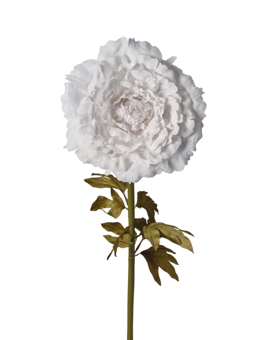 Art. Ramo Peonia Velluto 48x48x130cm - White