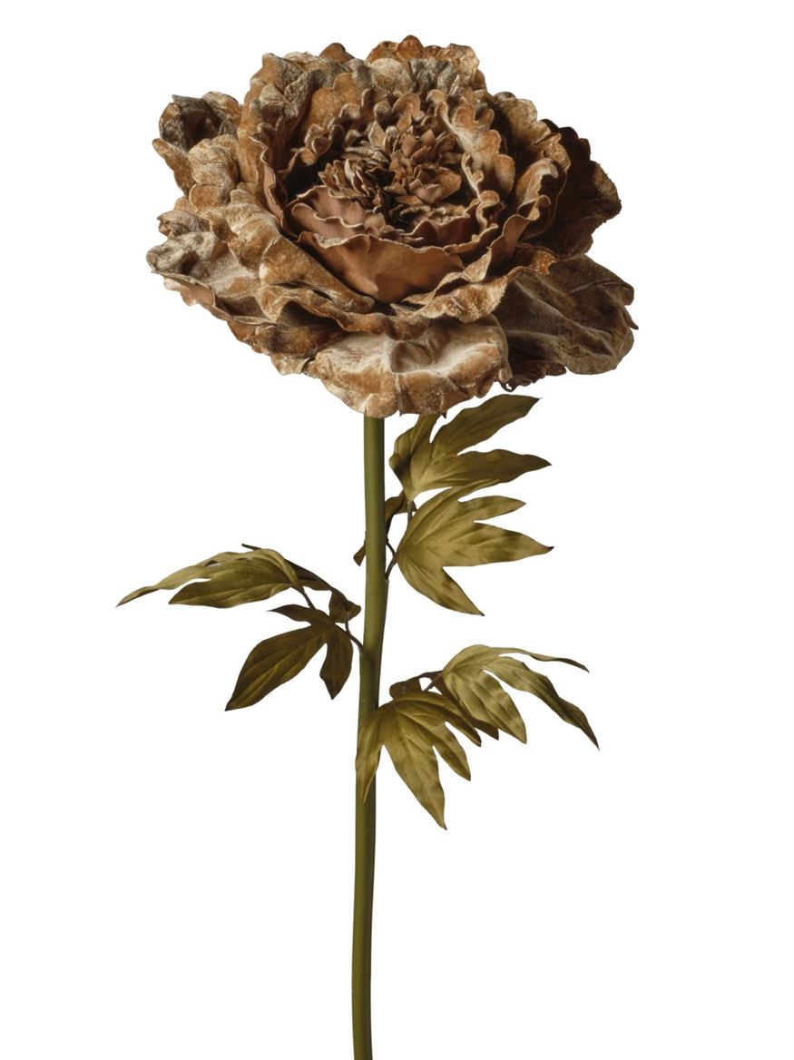 Art. Ramo Peonia Velluto 48x48x130cm - Tan
