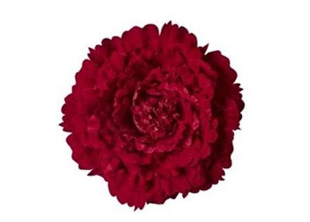 Art. Testa Peonia Velluto 58x58x18cm - Red