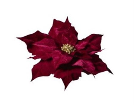 .xmas. Testa Stella Natale 70x70x15 Cm - Burgundy