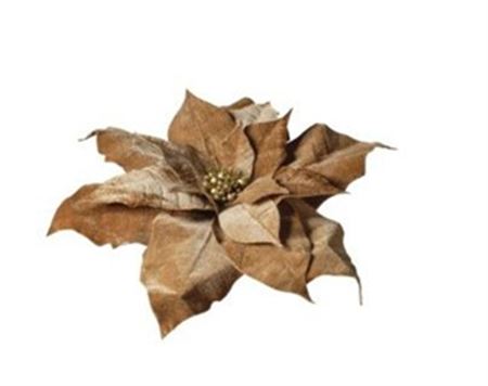 .xmas. Testa Stella Natale 70x70x15 Cm - Tan