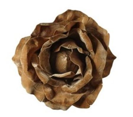 Art. Testa Rosa Velluto 75x75x36cm - Tan