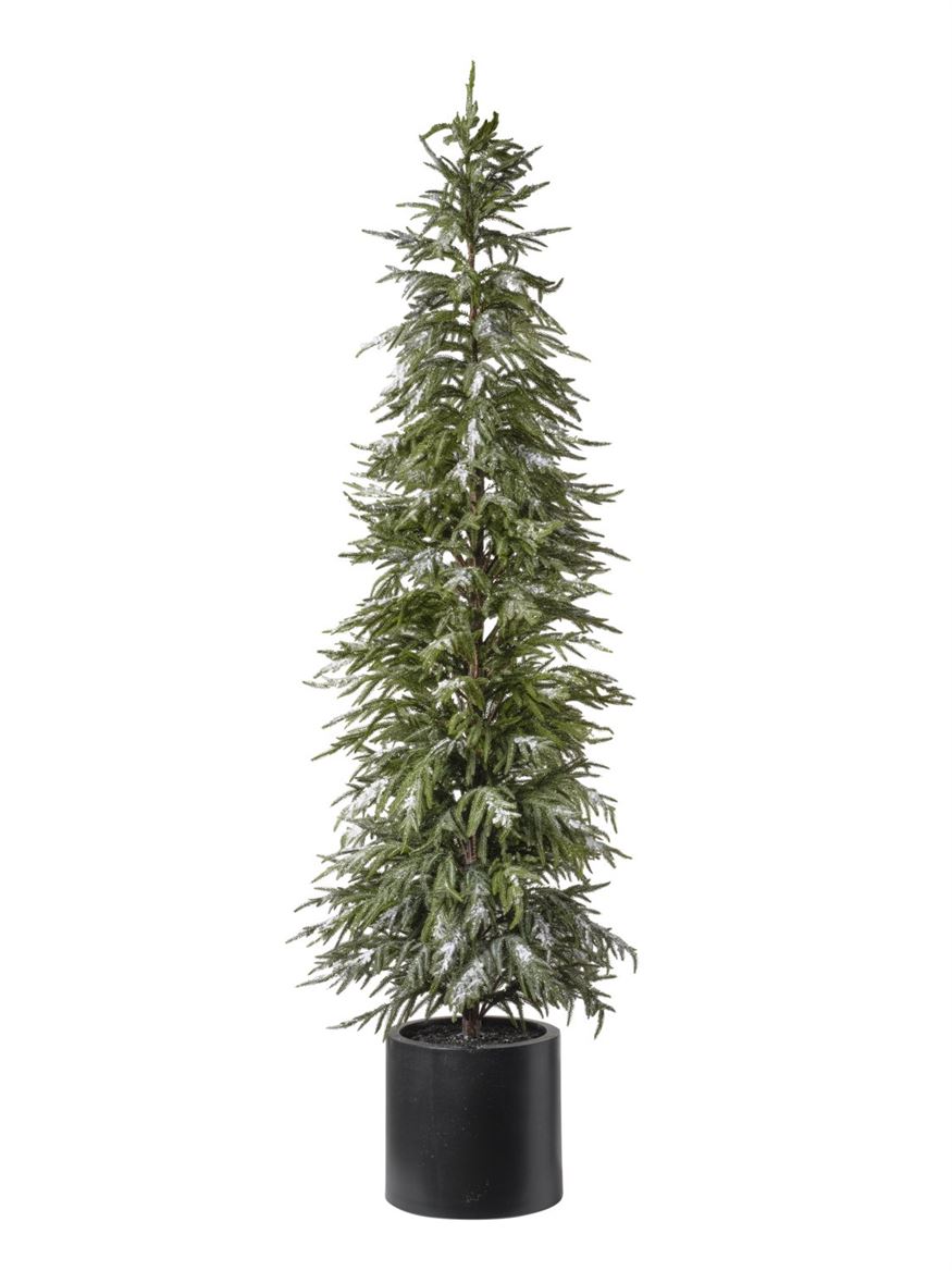 .xmas. Albero Pino Con Neve H.213 Cm