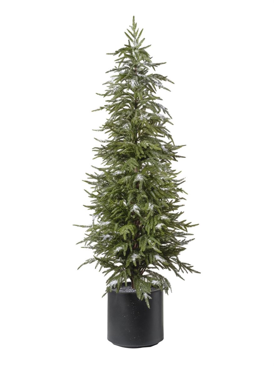 .xmas. Albero Pino Con Neve H.152 Cm