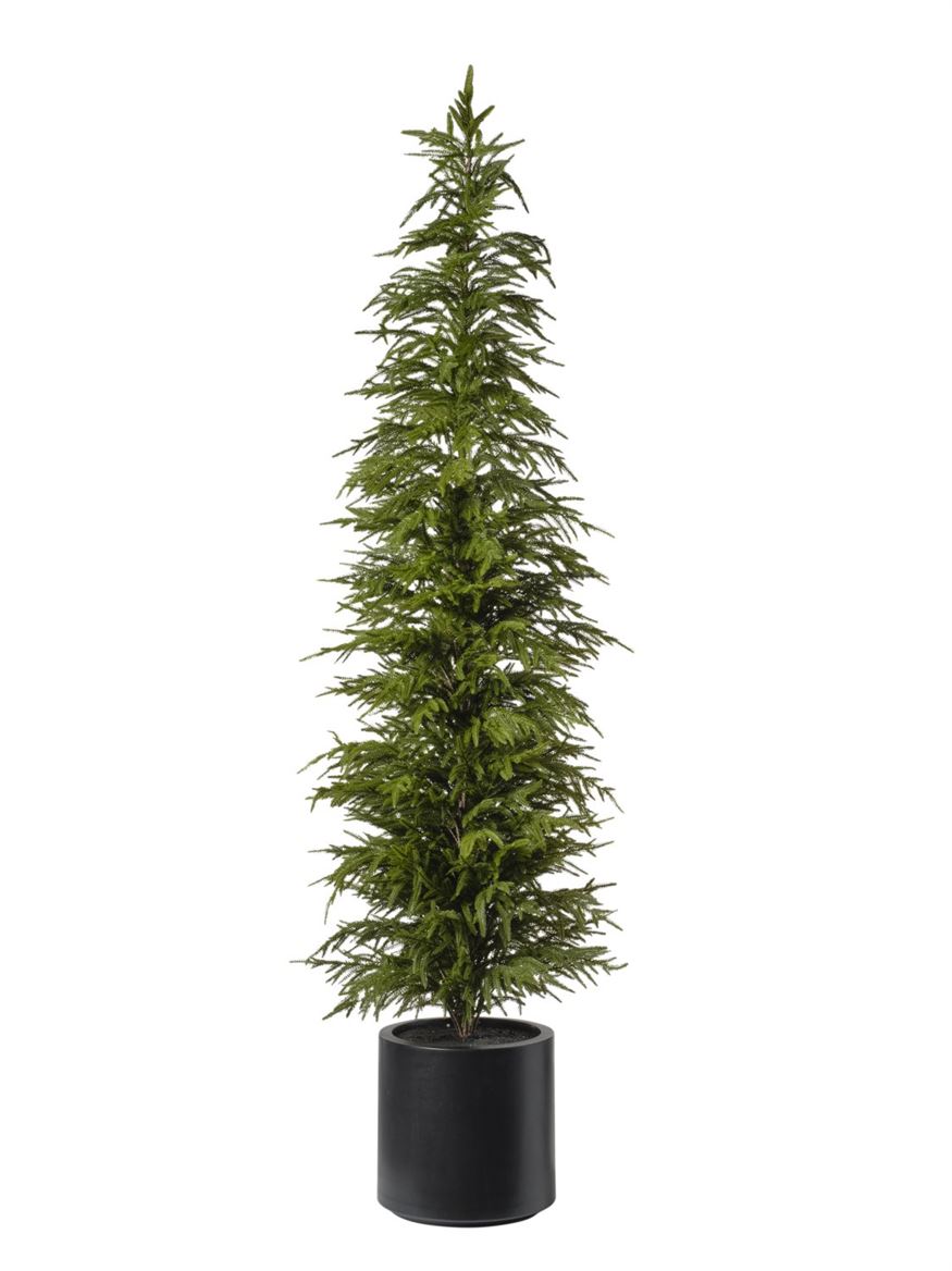 .xmas. Albero Pino Con Vaso H.213 Cm - Green