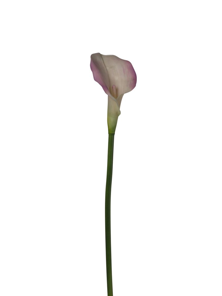 Art. Ramo Calla 78cm Cream Lilac