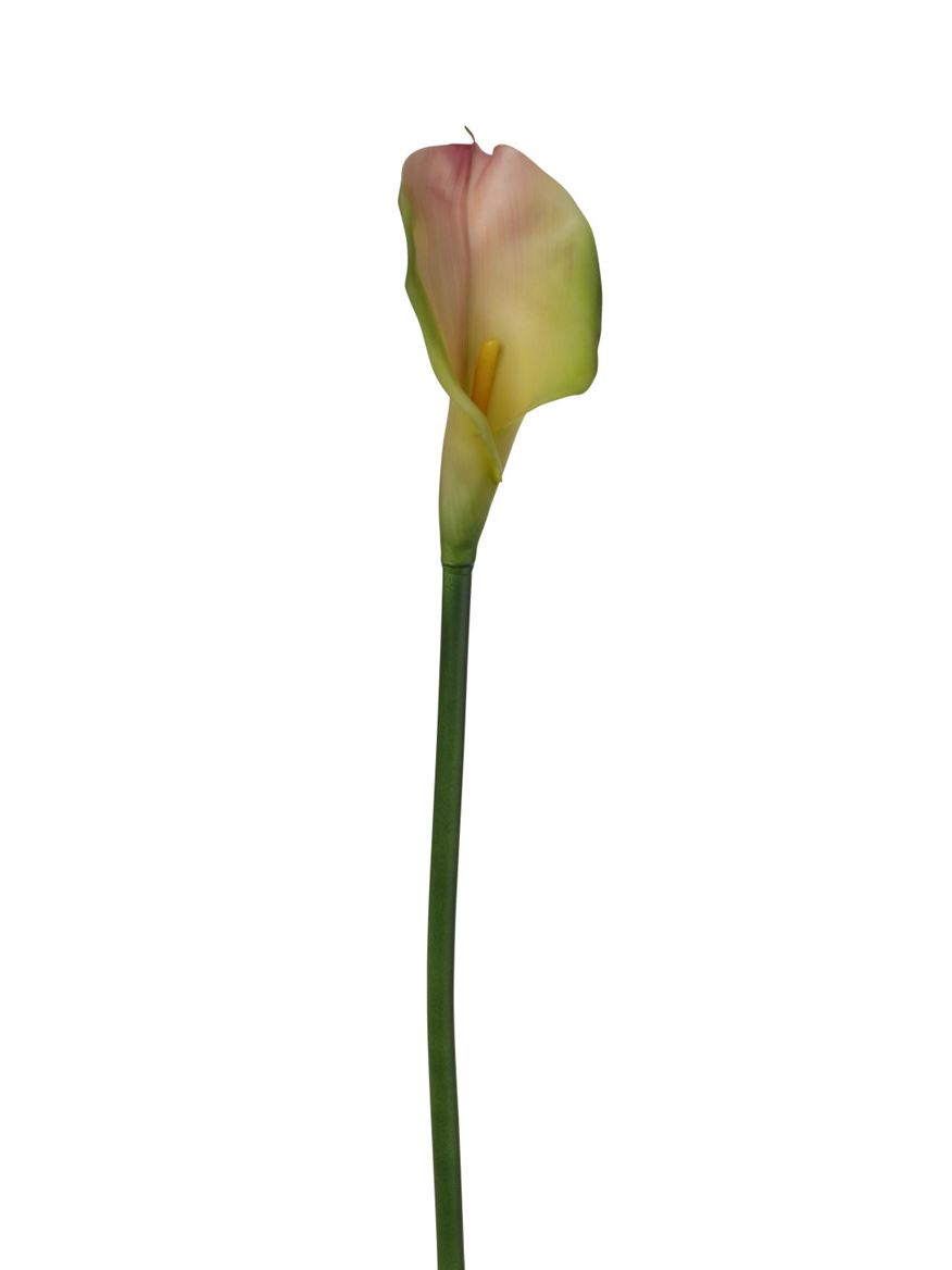 Art. Ramo Calla 78cm Pink Green