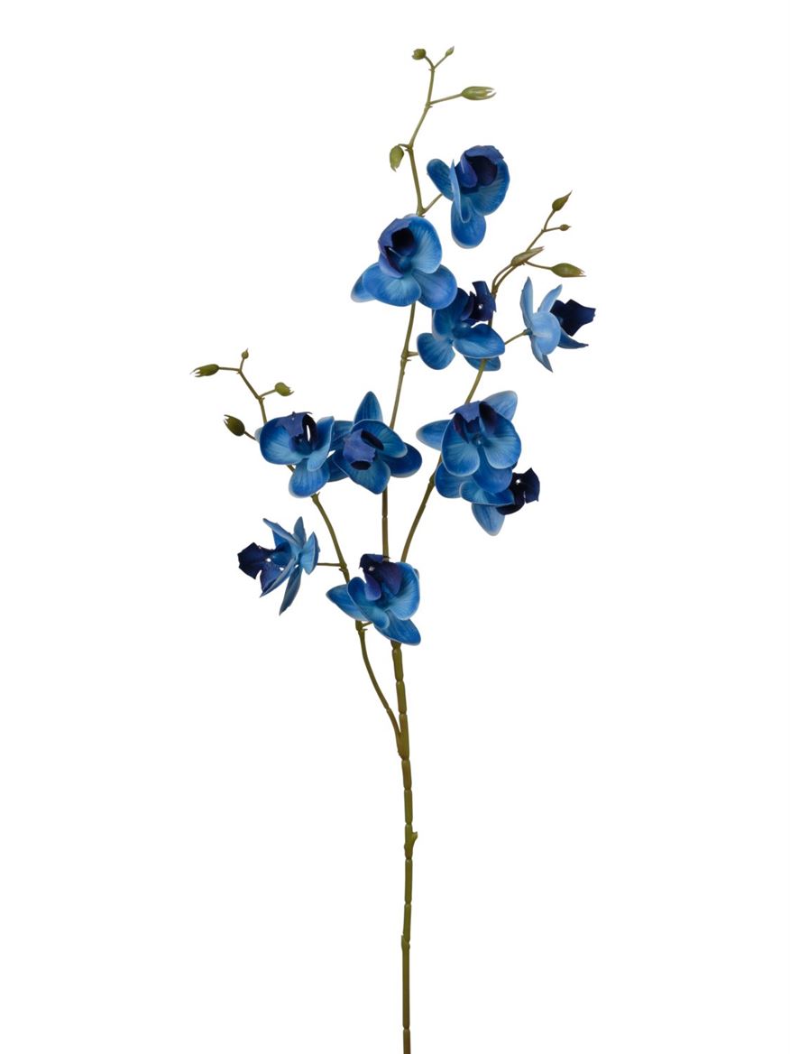 Art. Ramo Phaleonopsis X3 Cm83 Blue