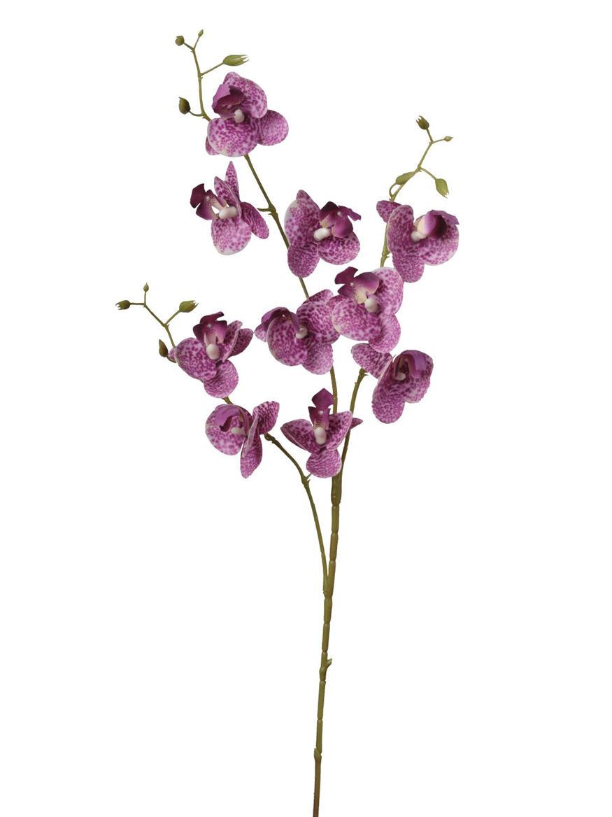 Art. Ramo Phaleonopsis X3 Cm83 Cream Beauty