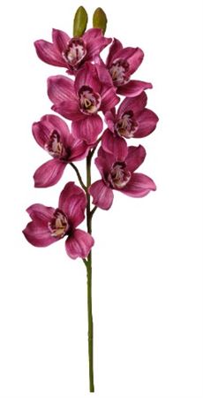 Art. Ramo Cymbidium Cm74 Beauty
