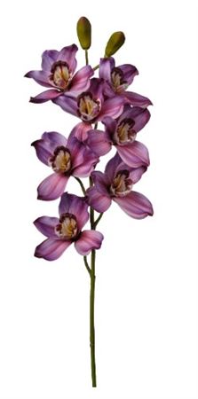 Art. Ramo Cymbidium Cm74 Purple