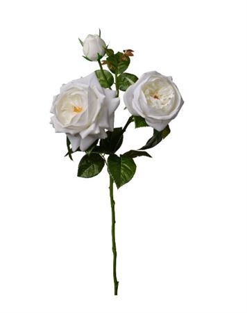 Art. Ramo Rosa X3 Cm70 Cream
