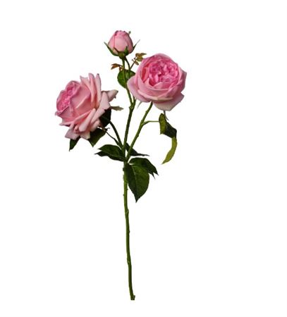 Art. Ramo Rosa X3 Cm70 Pink