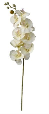 Art. Ramo Phaleonopsis Cm90 Cream Green
