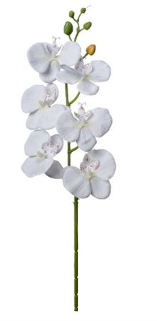 Art. Ramo Phaleonopsis Cm69 Cream