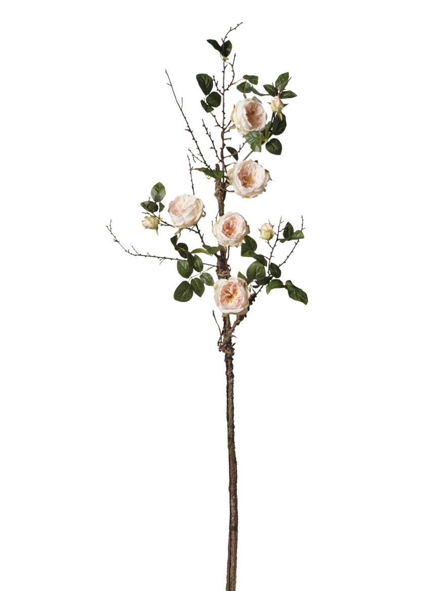 Art. Ramo Rosa Cm165 - Peach
