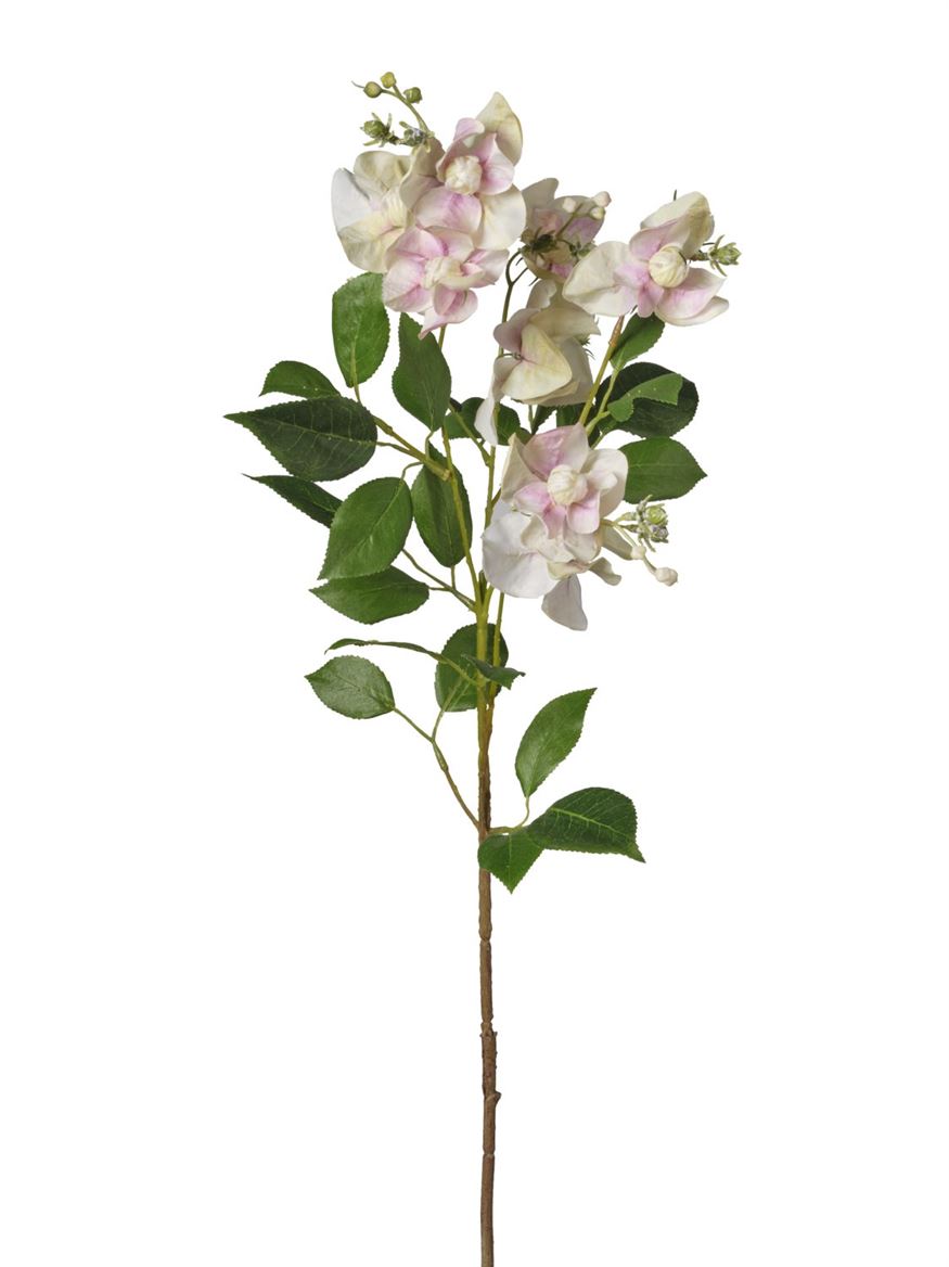 Art. Ramo Camelia Cm76 - Cream Pink