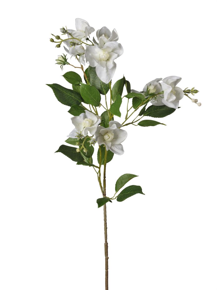 Art. Ramo Camelia Cm76 - White