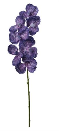 Art. Ramo Orchidea Vanda X7 Cm76 Purple
