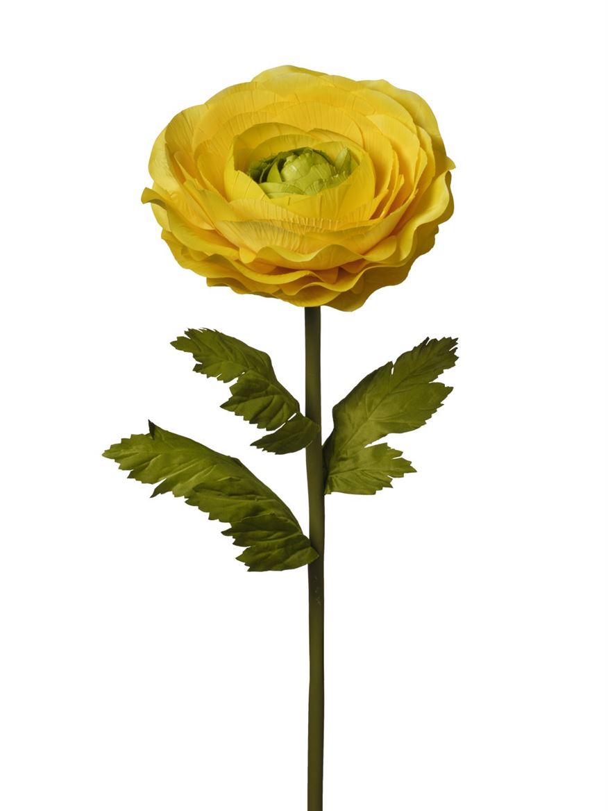 Art. Ramo Ranuncolo Gigante 125m Yellow