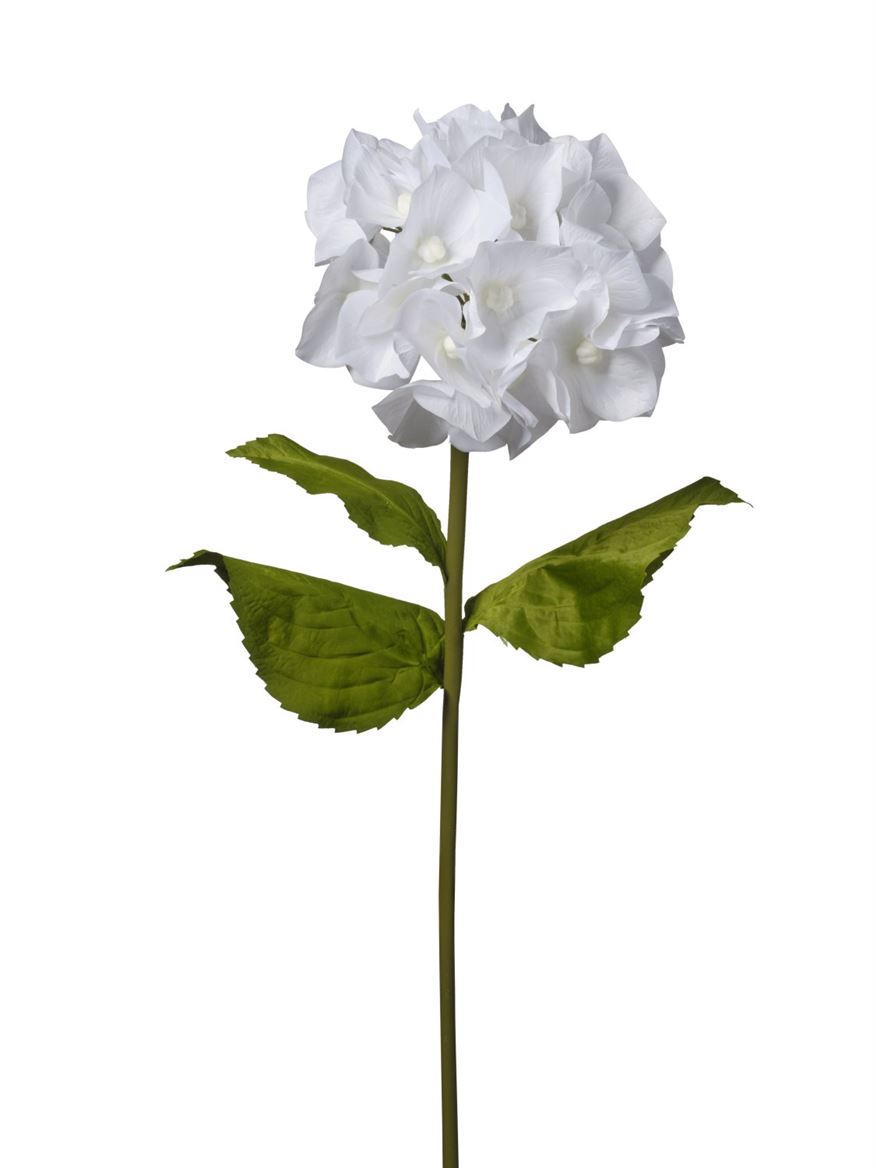 Art. Ramo Ortensia Gigante Cm110 Cream