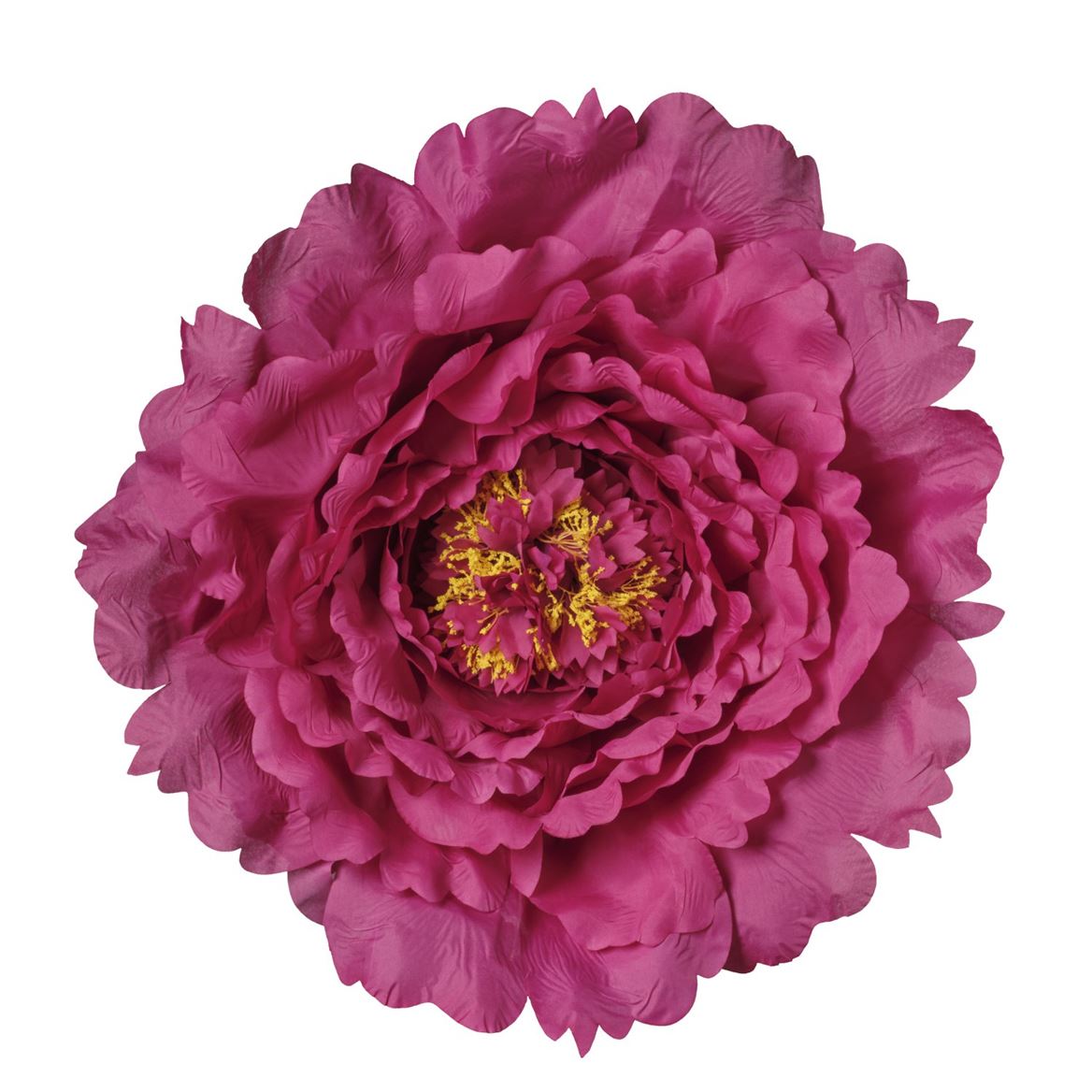 Art. Testa Peonia Xxxl D.58cm - Fuchsia