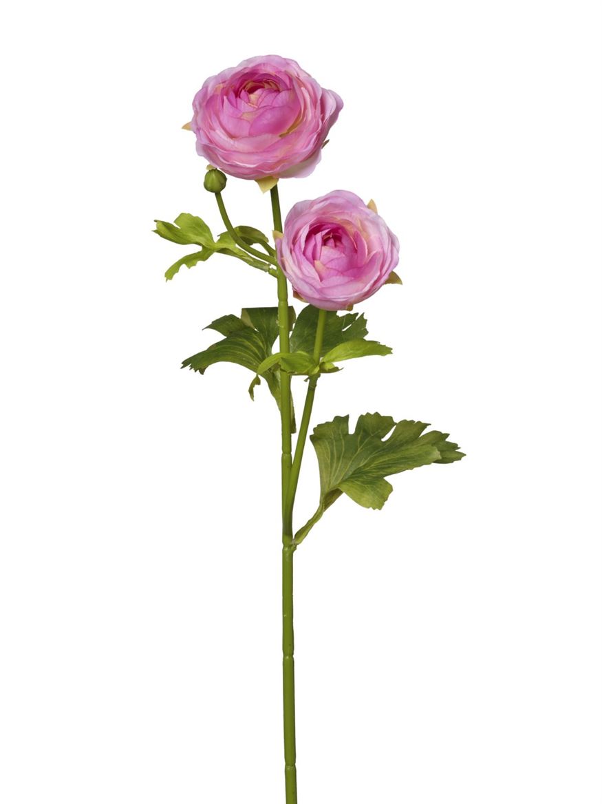 Art. Ramo Ranuncoli X2 Cm51 - Fuchsia