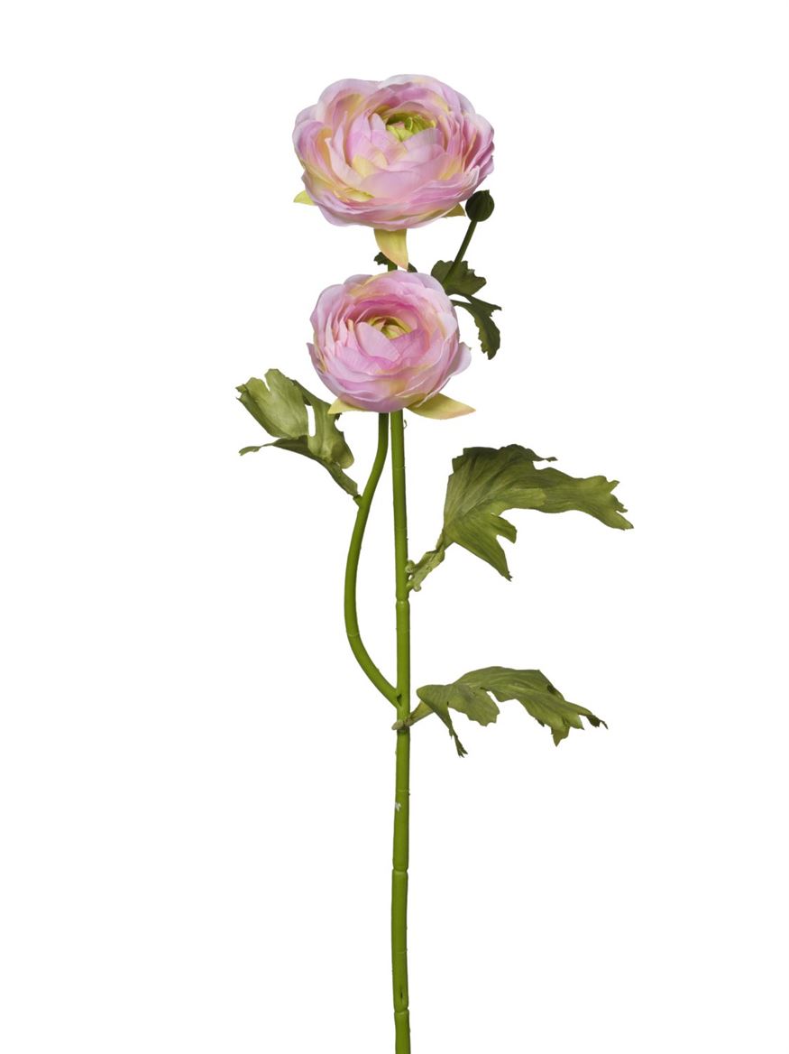 Art. Ramo Ranuncoli X2 Cm51 - Pink