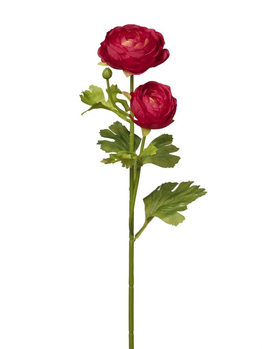 Art. Ramo Ranuncoli X2 Cm51 - Red