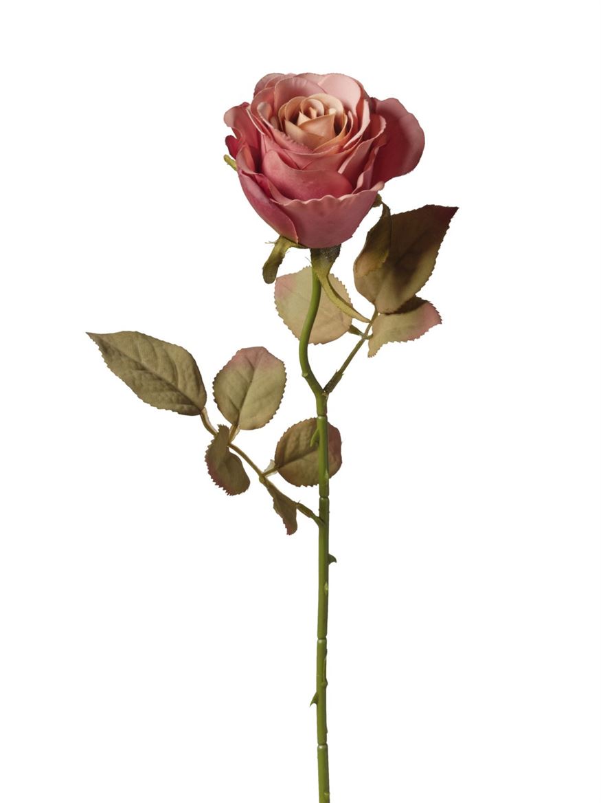 Art. Ramo Ant. Rosa Singola Cm 53 - Old Pink