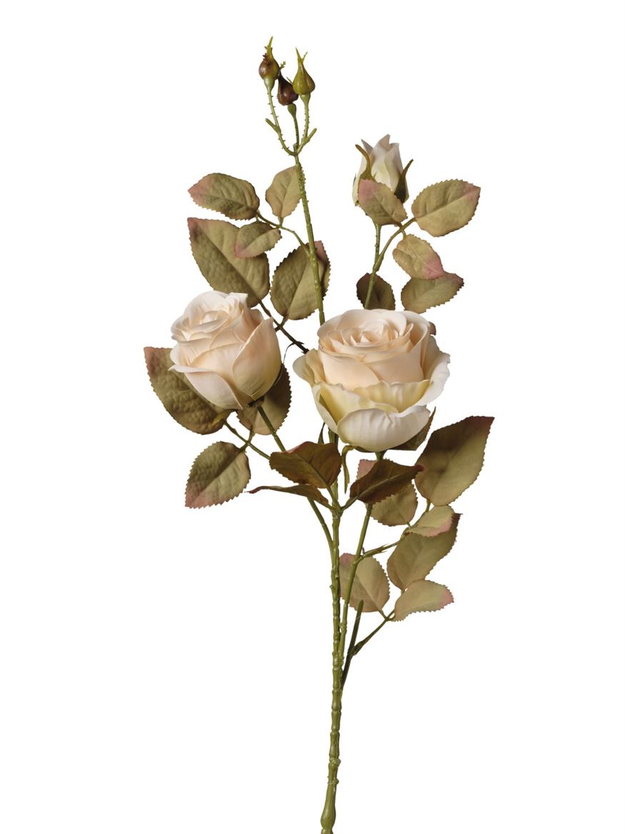 Art. Ramo Ant. Rose X 3 Teste Cm 82 - Beige