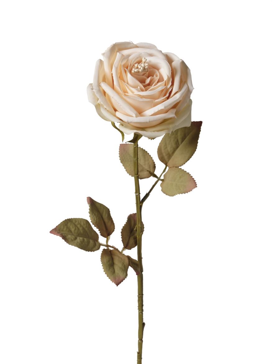 Art. Ramo Ant. Rosa Singola Cm66 - Beige