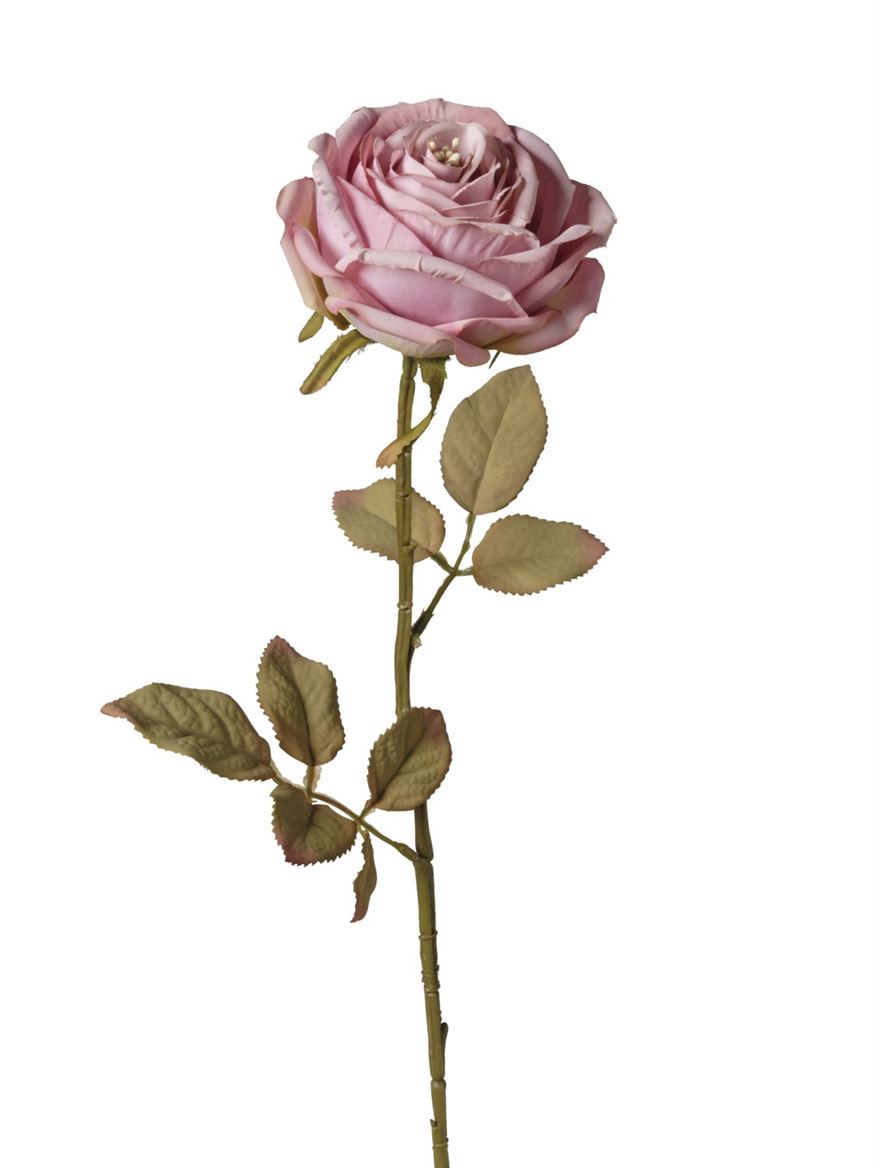 Art. Ramo Ant. Rosa Singola Cm66 - Old Lavander
