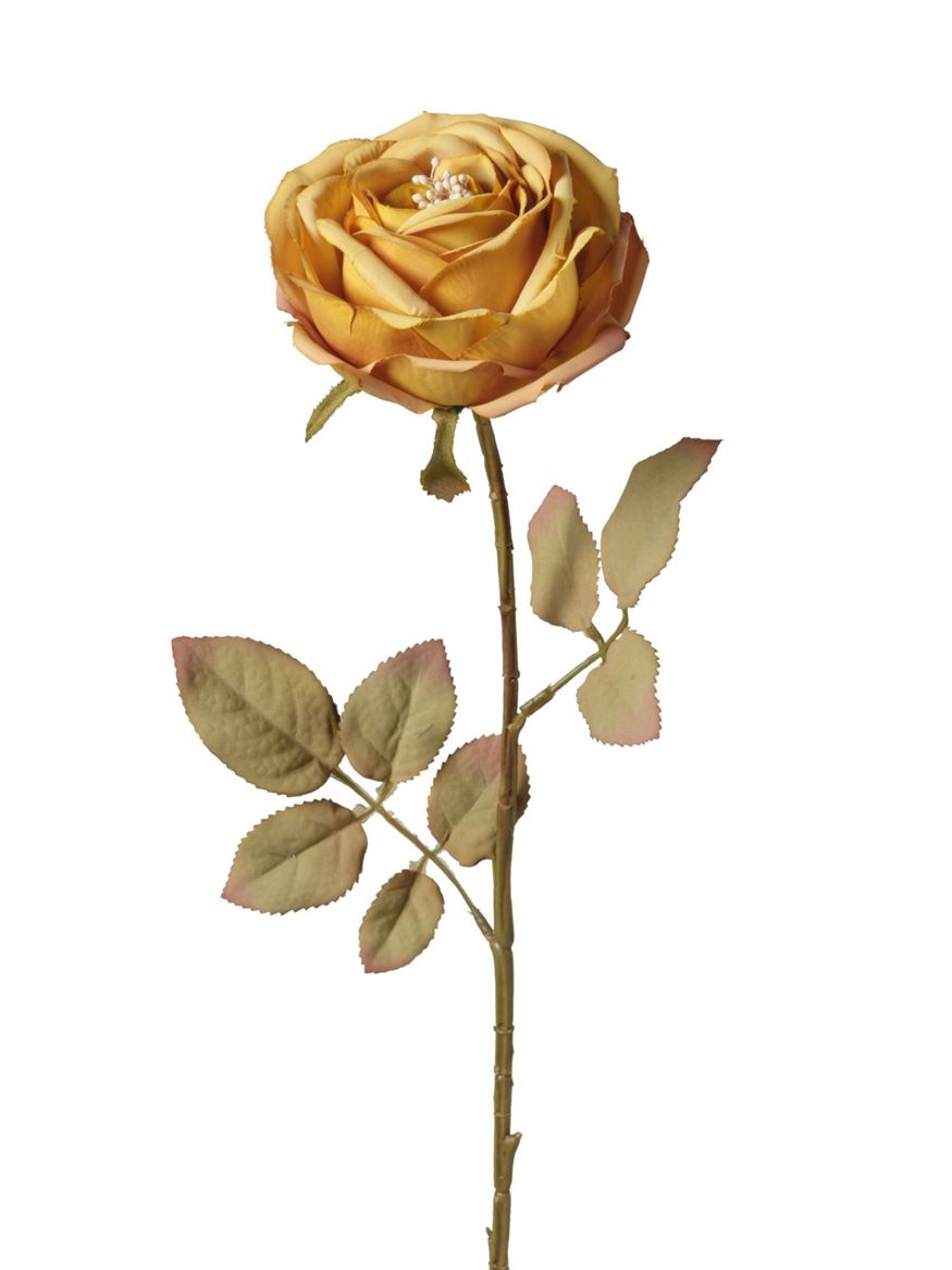 Art. Ramo Ant. Rosa Singola Cm66 - Mustard