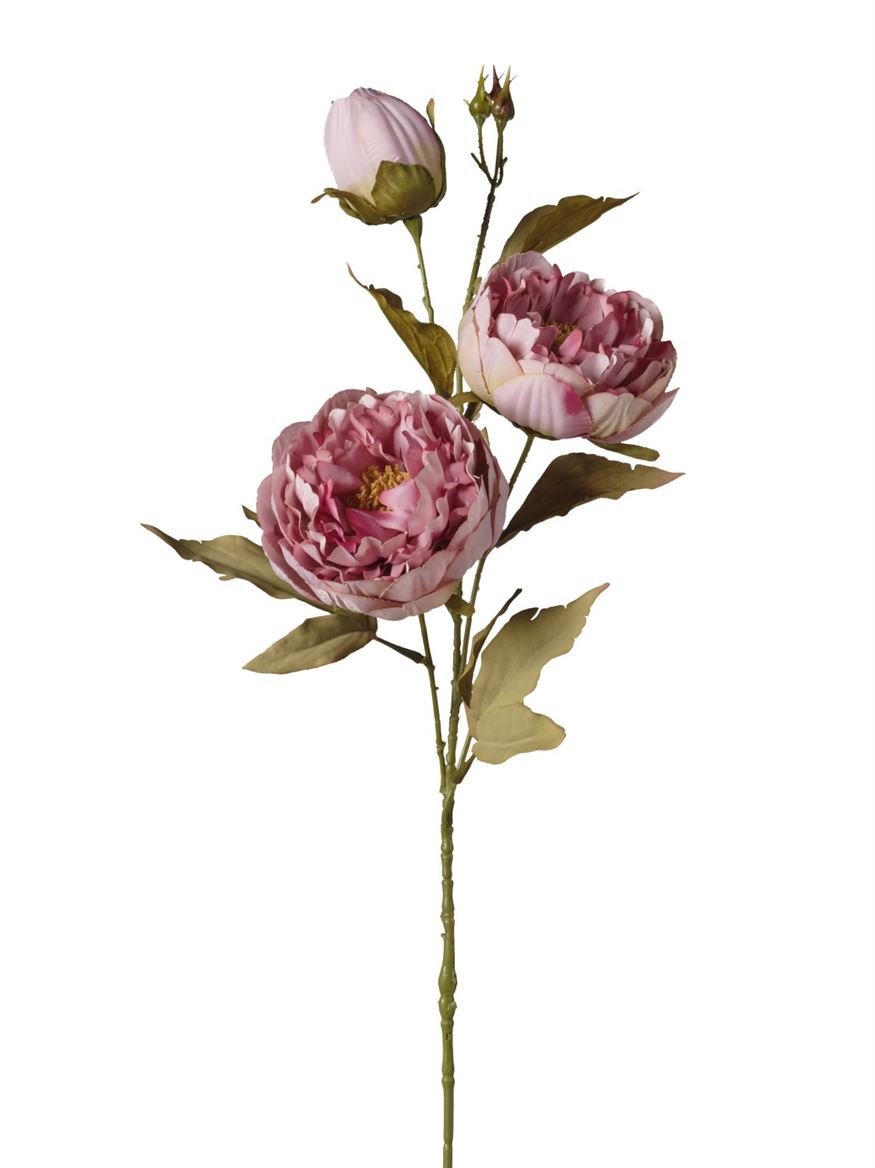 Art. Ramo Ant. Peonie X3 Teste Cm 80 - Old Lav.