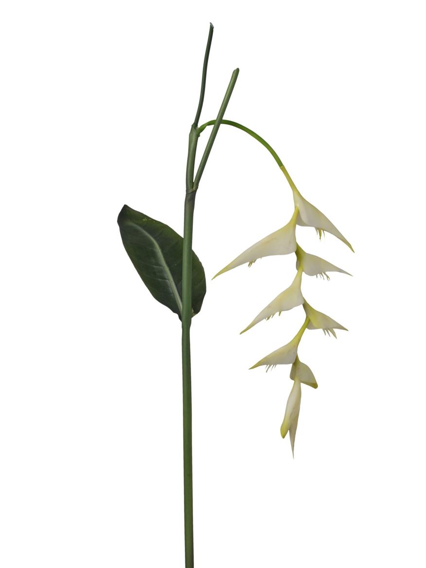 Art. Ramo Eliconia Sing.25x25x94cm Cream