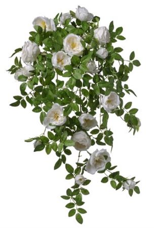 Art. Cadente Rose Cm50x58 White