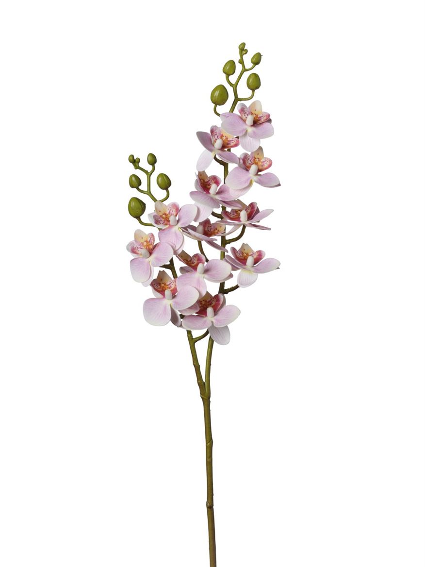 Art. Ramo Phalaeonopsis X12 60cm - Pink