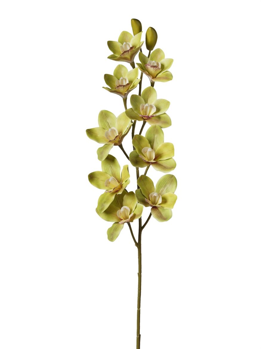 Art. Ramo Cymbidium X9 15x15x90cm - Green