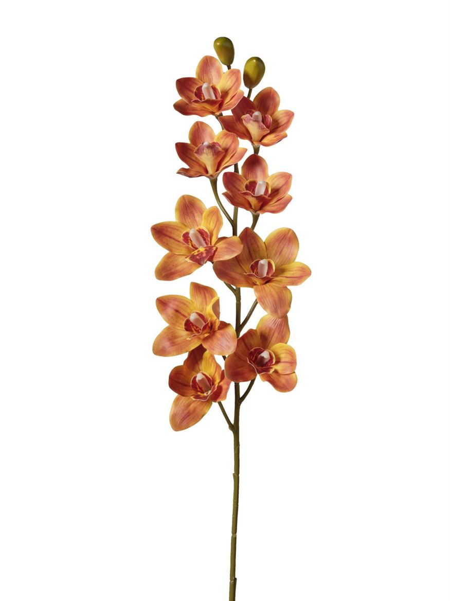 Art. Ramo Cymbidium X9 15x15x90cm - Orange