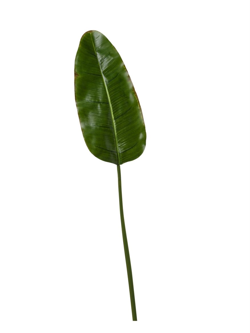 Art. Foglia Banano 96,5cm - Brown Green