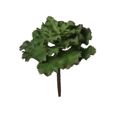 Art. Ramo Pianta Grassa Crasulacea Cm17 Green