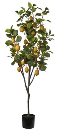 Art. Pianta Limoni Cm190