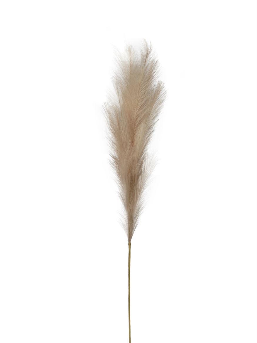 Art. Ramo Pampas Cm120 - Beige