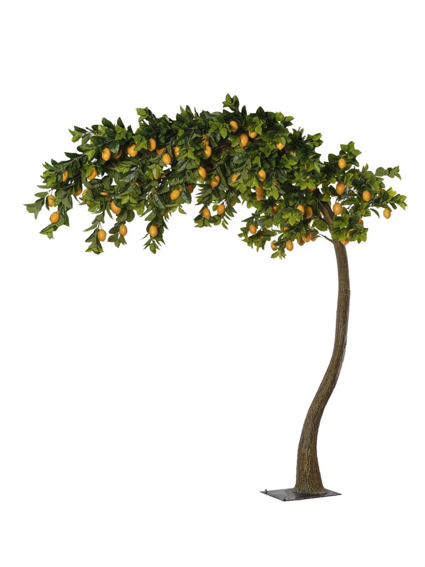 Art. Pianta Struttura Limone Ad Arco H.300cm