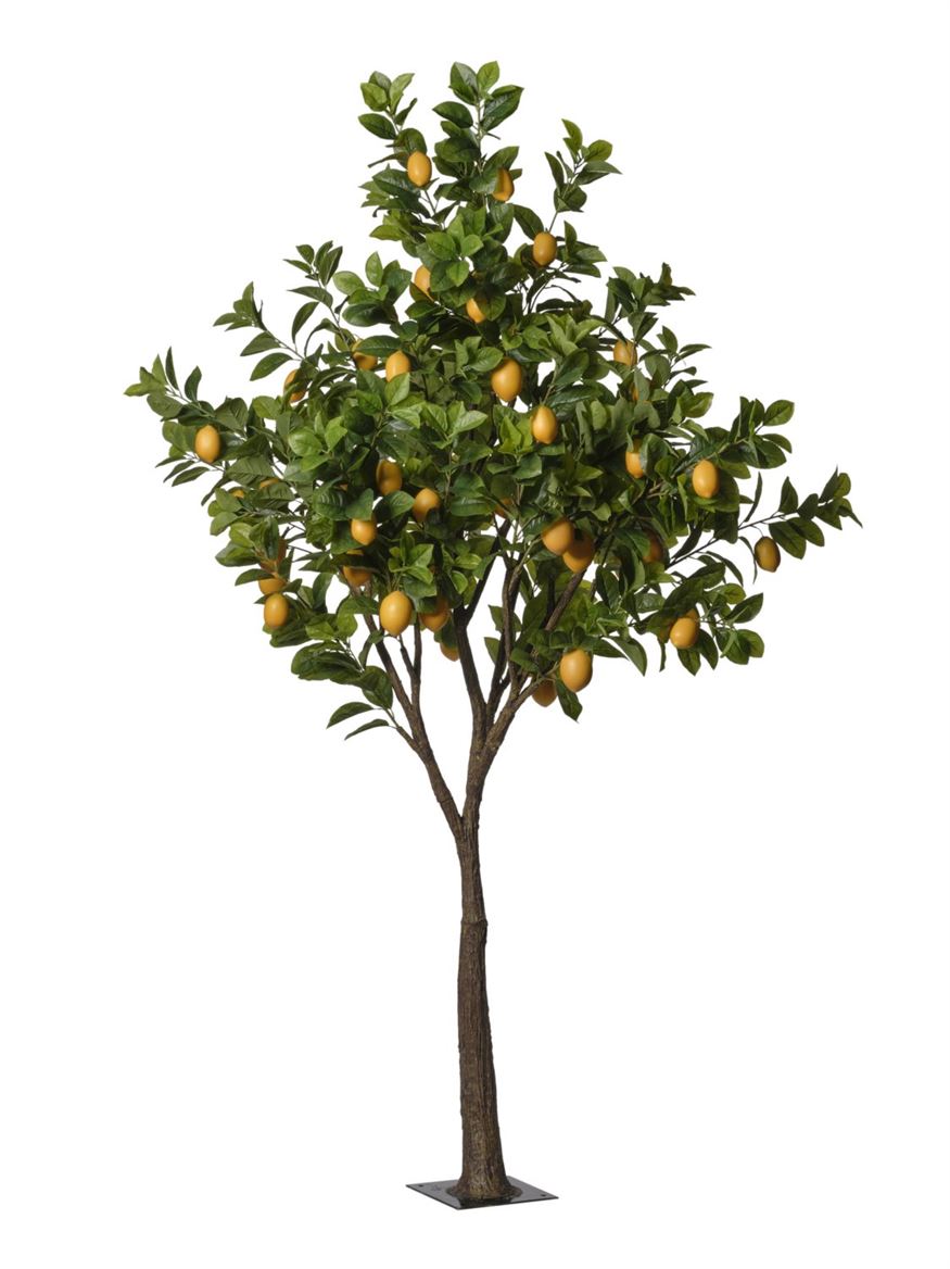Art. Pianta Struttura Limoni H.220cm